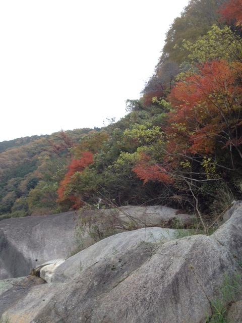 紅葉がキレイでした。